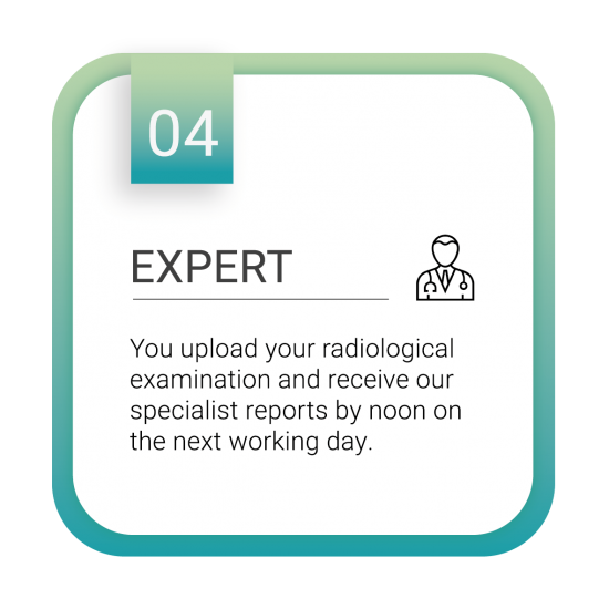 Expert_Zeichenfläche 1