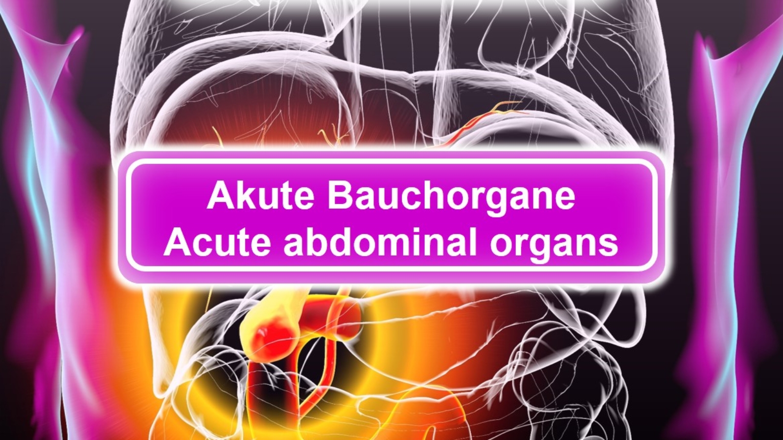 acute abdominal organs 1