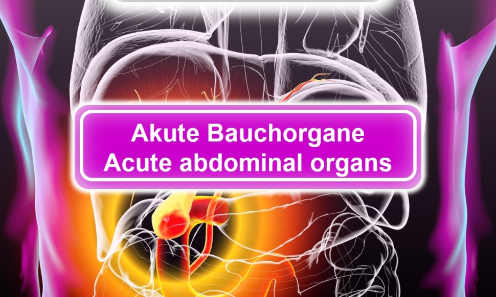 acute abdominal organs 1