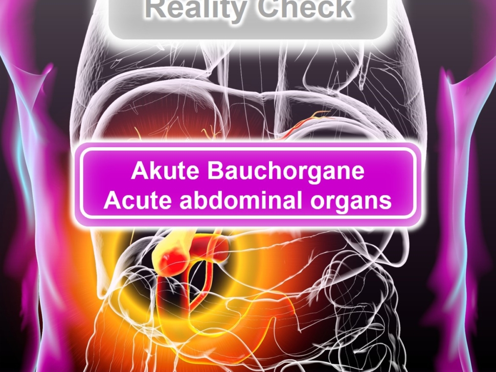 acute abdominal organs 1